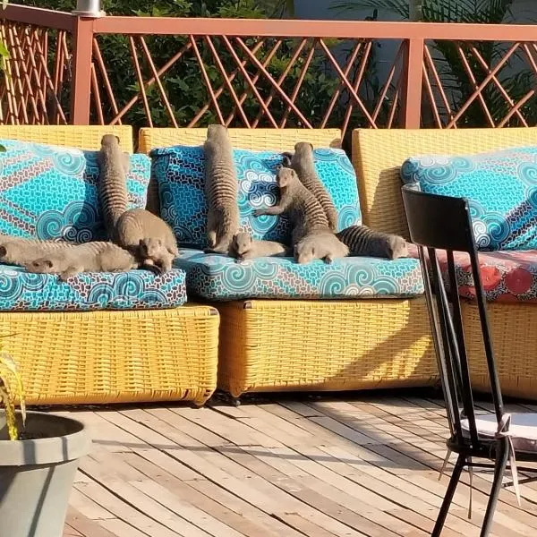 Sunbirds Lodge Chobe, ξενοδοχείο σε Kasane