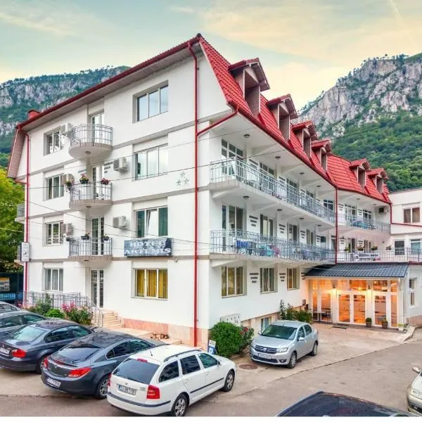 Artemis – hotel w mieście Băile Herculane