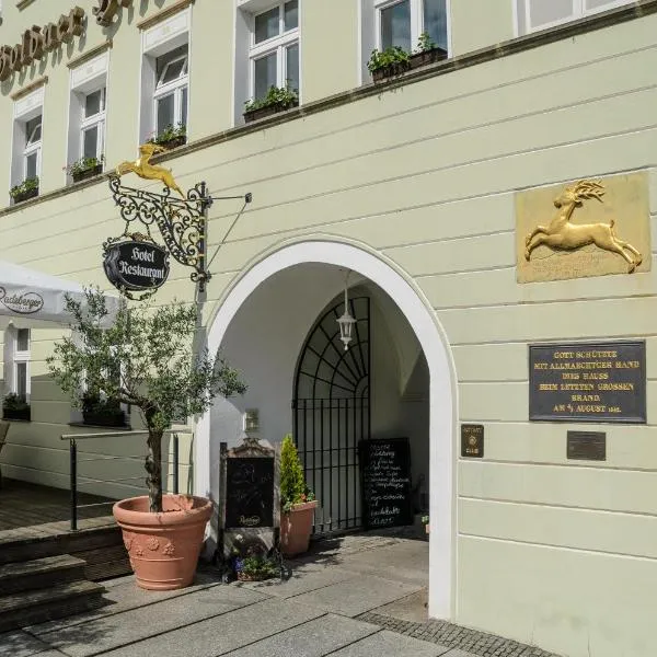 Akzent Hotel Goldner Hirsch, hotel in Liebegast