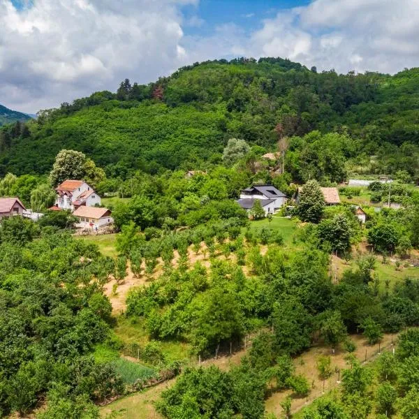 UpForest Guesthouse – hotel w mieście Călimăneşti
