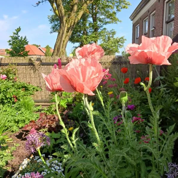 Huize Bloem, hotel din Sint Jacobiparochie