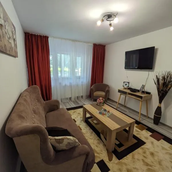 Apartamentul ALFA, hotel en Slănic-Moldova