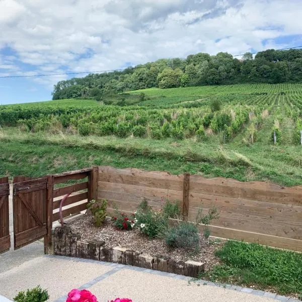 le gite des vignes Studio tout confort 1 chambre dans le vignoble Franche Comte Arbois, хотел в Арбоа