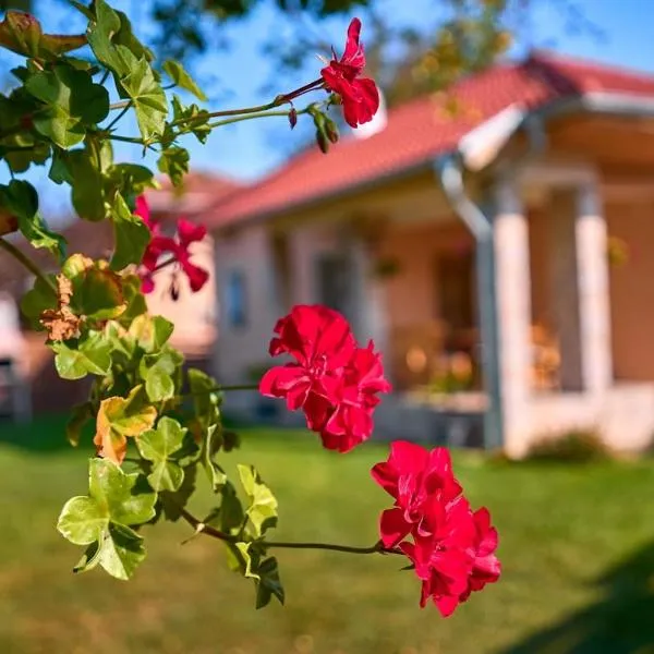 Villa Simida, hotel a Debnevo