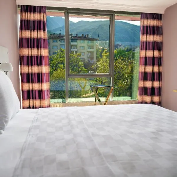 TOK EPİK HOTEL, отель в Бурсе