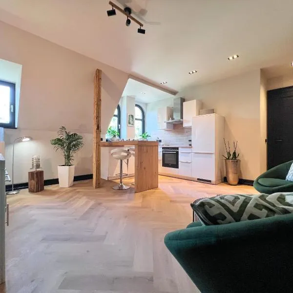 außergewöhnliche Ferienwohnung Stadtvilla Plauen, Hotel in Plauen