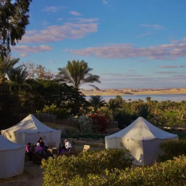Tunis Camp Fayoum, hotel v destinaci Fajjúm
