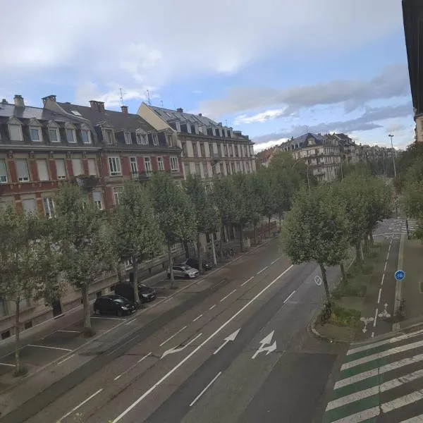 Appartement spacieux proche du centre ville, hotel in Strasbourg