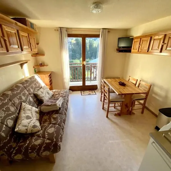 Superbe studio, Praz-sur-Arly, hotel v destinácii Praz-sur-Arly