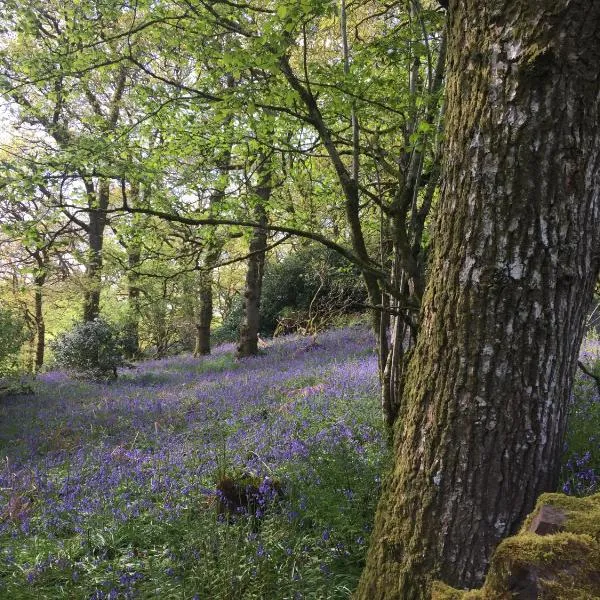 Willow Cottage, Gilchristland Organic Farm, hotel v destinaci Closeburn