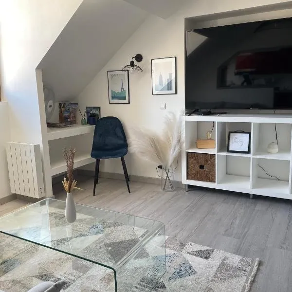 Magnifique logement au pied du Château、ブロワのホテル