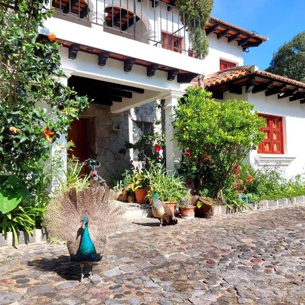 Hotel Casa Búho B&B、El Cedroのホテル