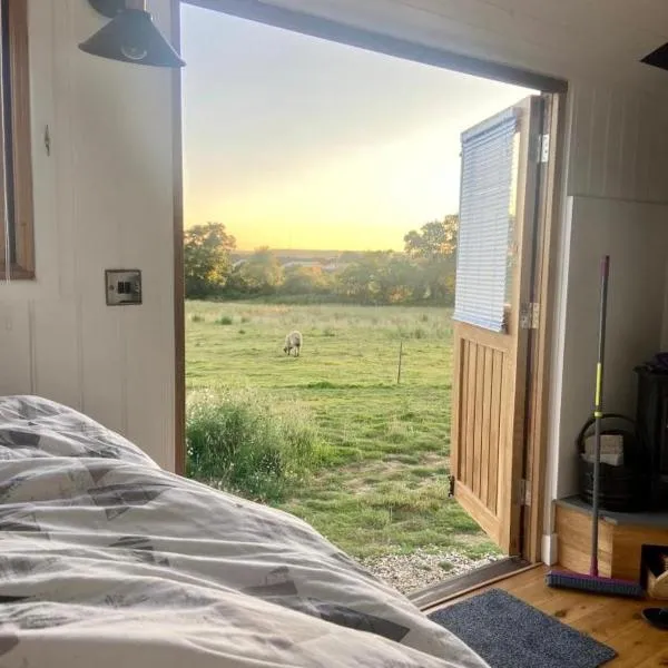 Under the Stars Shepherds Huts at Harbors Lake, Hotel in Newchurch