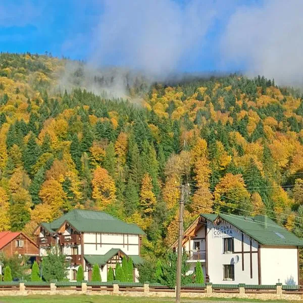 Apartments Girska Sonata, hotel in Mykulychyn