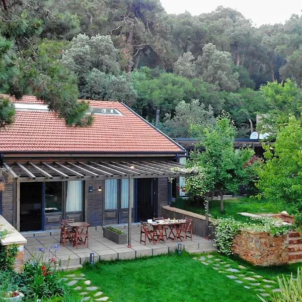 Triada Hotel Büyükada, hotel v destinaci Adalar