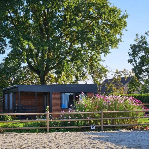 Houten huisje tussen paarden, hotel v destinaci Nieuwerkerken