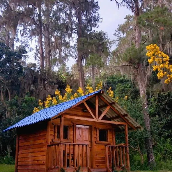 Pinar del Valle - Glamping en el Bosque - Propiedad Completa en Constanza，El Cedro的飯店