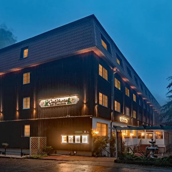 Waldhotel Harz Ilsenburg, hotel em Ilsenburg