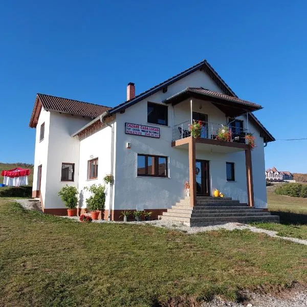 Casa Lucas, Hotel in Cornăţel