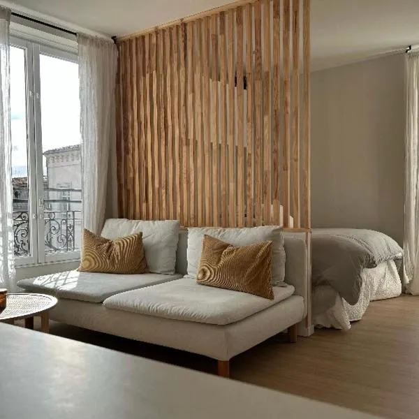 Studio hyper centre de castres, hotel in Castres