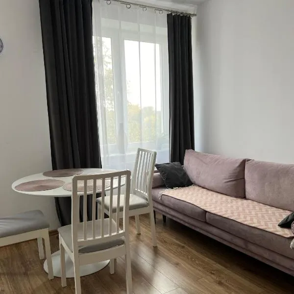 Apartament rodzinny 40m2, hotel in Pabianice