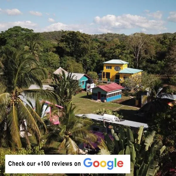 Lower Dover Jungle Lodge & Maya Ruins, hotel in Cool Shade