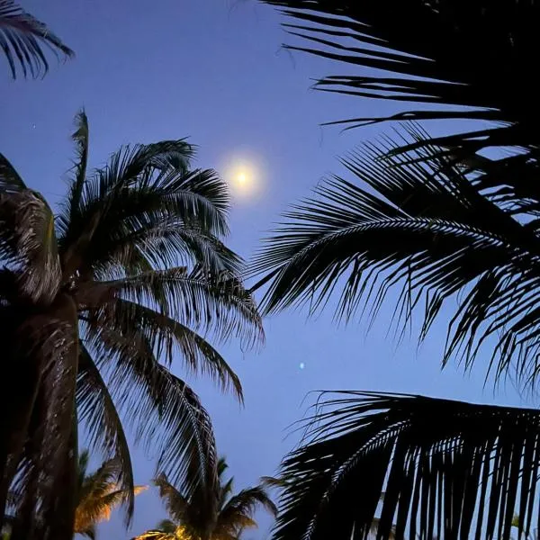 Blue House, hotel in Puerto Escondido
