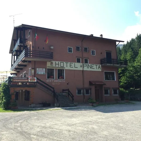 Albergo Ristorante Pineta、アンフォのホテル