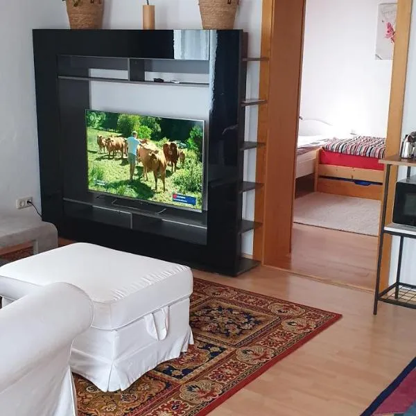Monteurezimmer/ Ferienwohnung Vogl, hotel v destinaci Viechtach