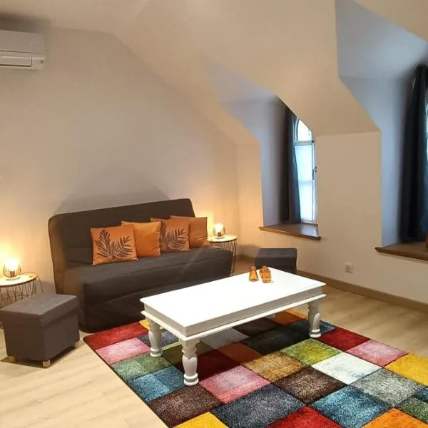 Gîte climatisé VILLA ESPERANZA à Valençay 2 à 5 p proche zoo de Beauval et châteaux Pour touristes et travailleurs, hotel en Valençay