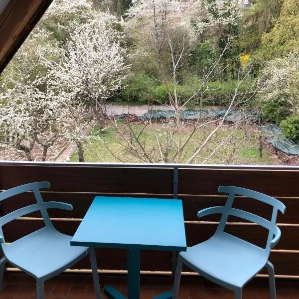 Blaues Zimmer mit grossem Balkon, Bad ist ein Traum, 50 Schritte zum Radweg am Main, Weinfest besuchen, hotel v destinaci Mainstockheim