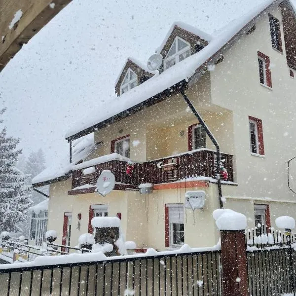 Celesta Trei Brazi, hôtel à Predeal