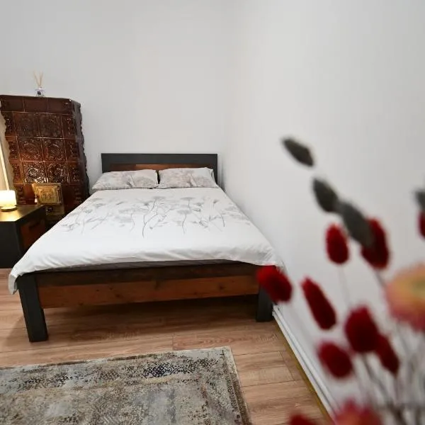 FLH - Tribunei Nest, khách sạn ở Sibiu