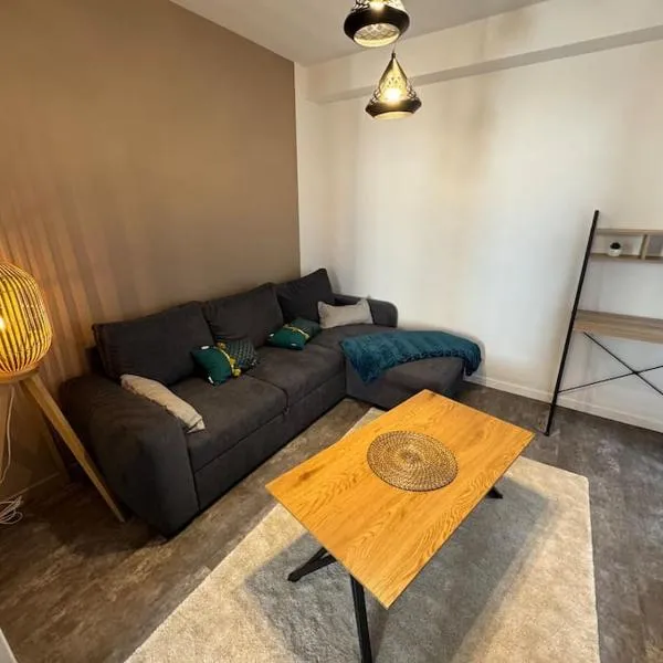 Bourg-Argental에 위치한 호텔 Appartement cosy et lumineux dans village medieval