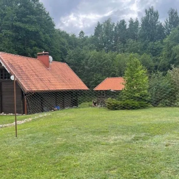 Forest House, hotel in Pašvinės