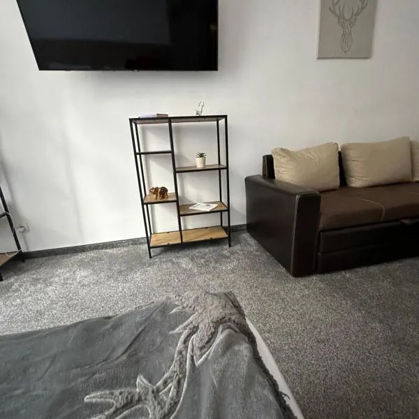 Апартхотел Флора 213Б, hotel in Borovets