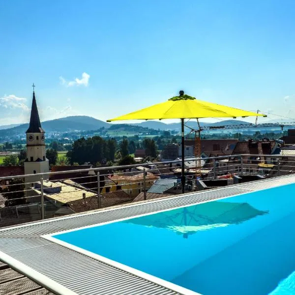 Hotel Randsbergerhof, hotel en Cham