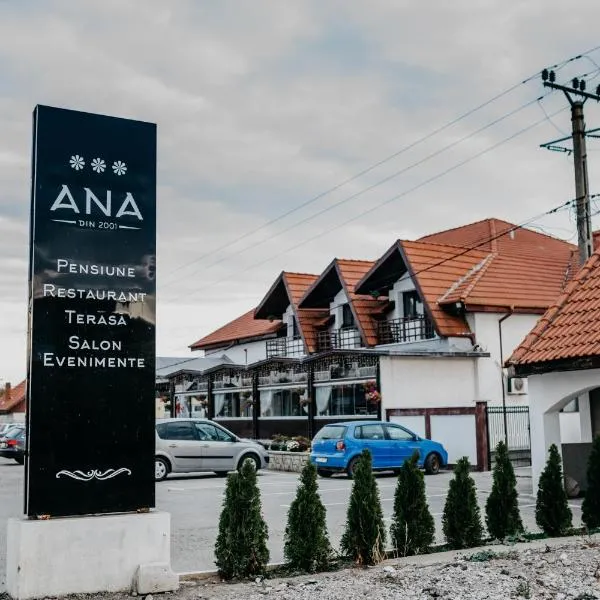 PENSIUNEA ANA, hotel in Piatra Neamţ