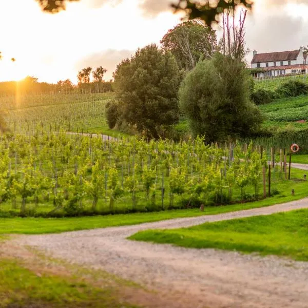 Three Choirs Vineyards, hotel in Linton