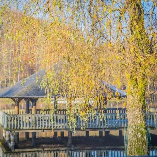 Les Terrasses Du Lac, hotel v destinaci Vielsalm