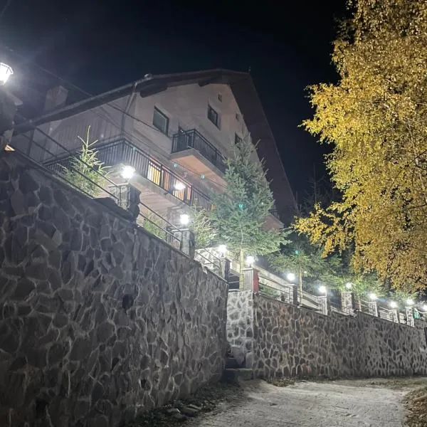 Pensiunea Joe Paltinis, hotel v destinaci Păltiniş