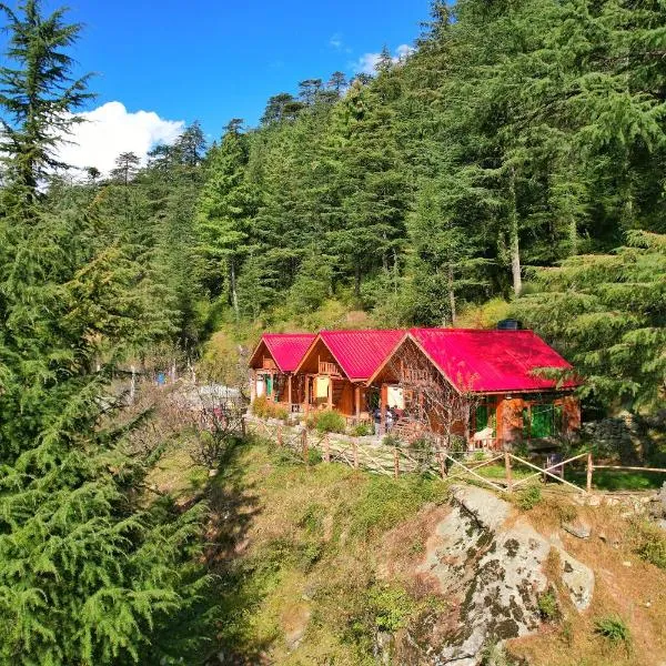 Himalayan Cedar Nest, hotel di Sainj