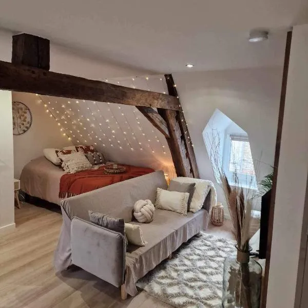 Appartement cocooning, hotel in Hestrud