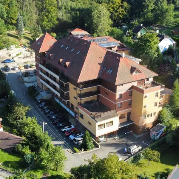 Wellness Hotel Ambra, hotel in Těšov