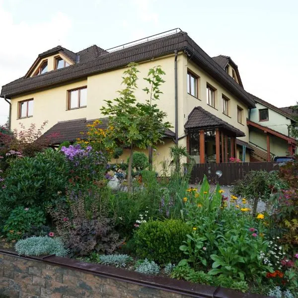 Apartmany u Denyho, hotel in Zuberec