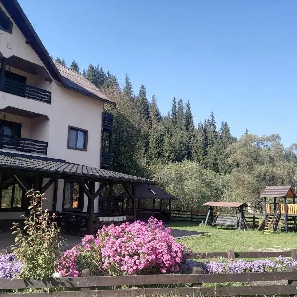 Pensiunea Tora, hotel in Vatra Dornei