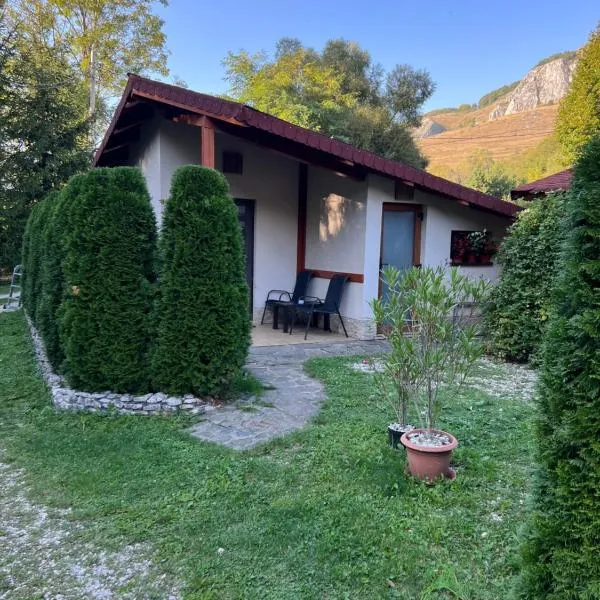 Studiouri Valisoara, hotel v destinaci Vălişoara