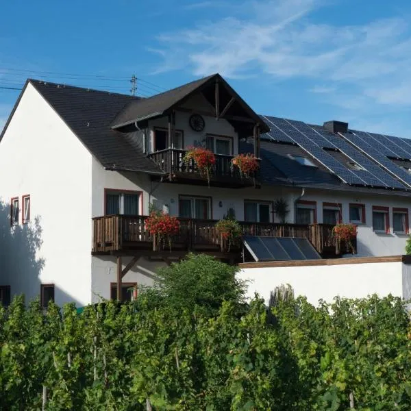 Ferienwohnung und Gästezimmer Reis-Kohl, hotel in Mehring