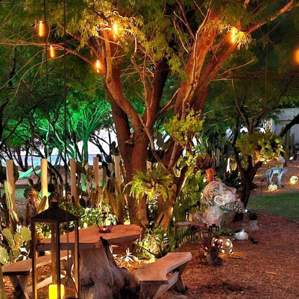 Casa Cactus Praia - Foto 4