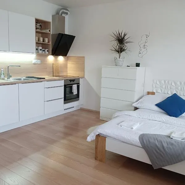Apartman Bystrc, hotel v destinaci Brno
